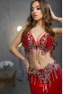 Professional bellydance costume (Classic 313A_1)